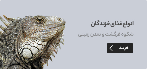 انواع غذای خزندگان