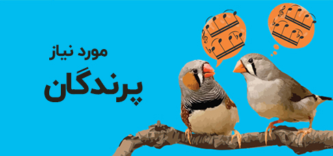 لوازم مورد نیاز پرندگان