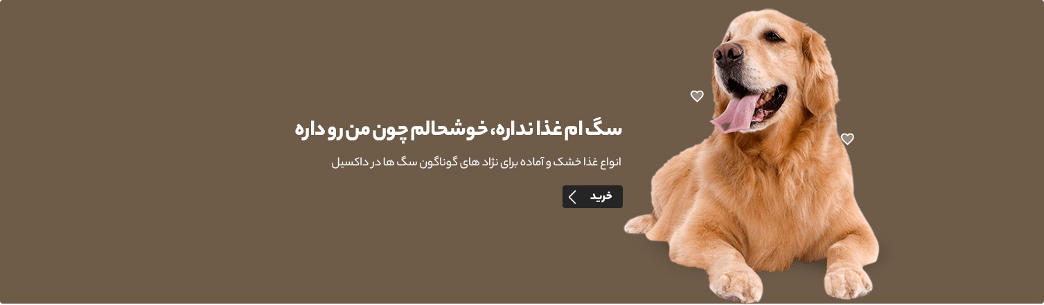  درباره داکسیل